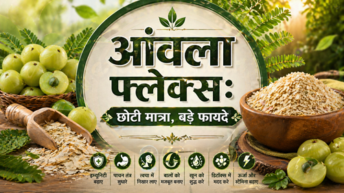 आंवला फ्लेक्स: छोटी मात्रा, बड़े फायदे